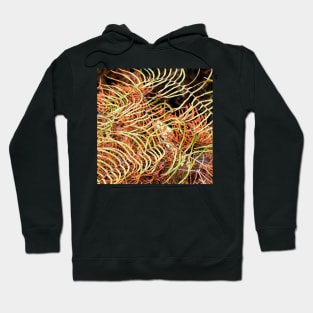 Patterned Fern Leaves and Branches Hoodie